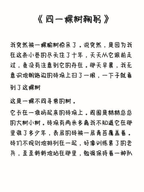 艺考自备稿件散文男生专用