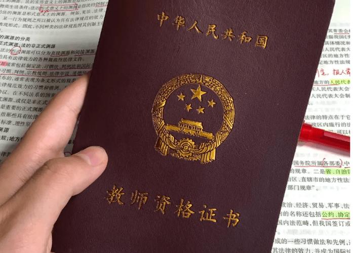 小学美术教师资格证考什么