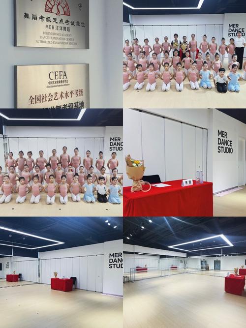 北京舞蹈学院中国舞考级六级