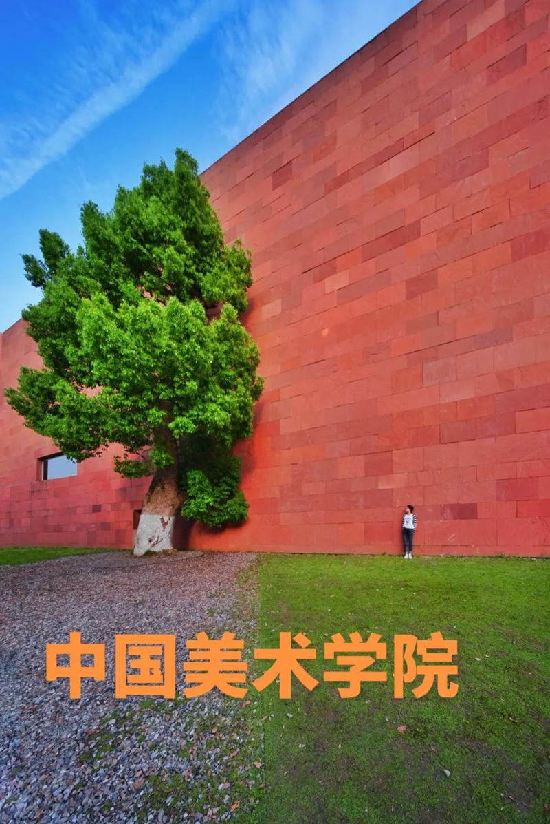 中国美术学院继续教育学院