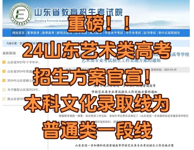 山师大艺考文化课多少分