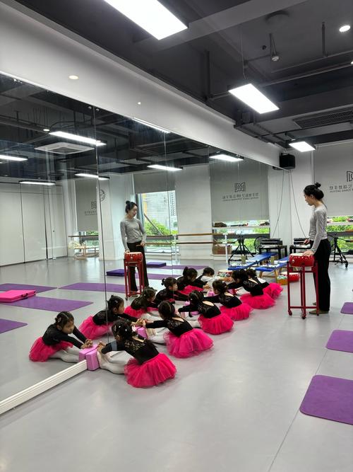 宁波舞蹈大学 拉丁专业