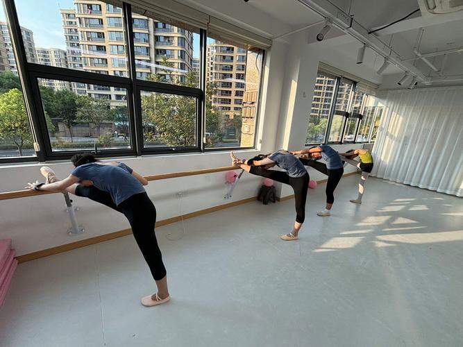 河北 成人舞蹈培训机构