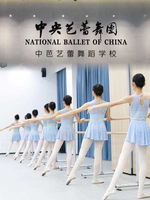 哈尔滨金兰舞蹈学校咨询