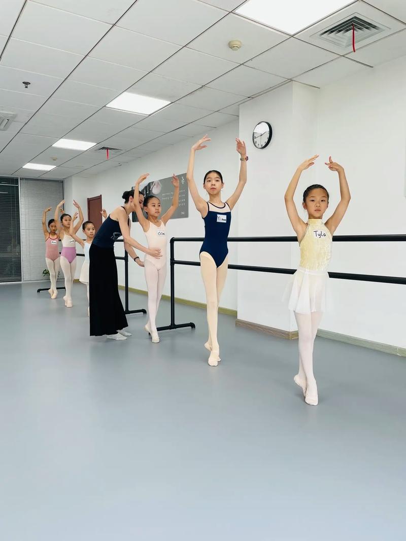 网络教育 舞蹈教育专业