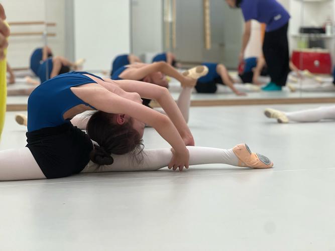 2007年遵义舞蹈培训