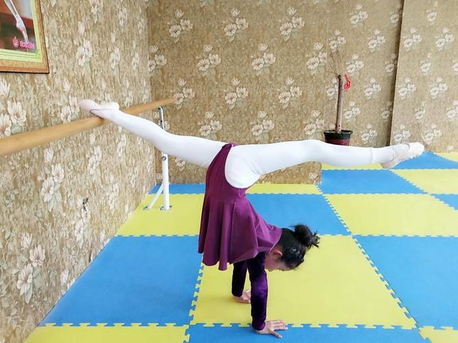 日照未来舞蹈学校 概况