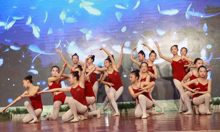 大良世纪小学 舞蹈表演