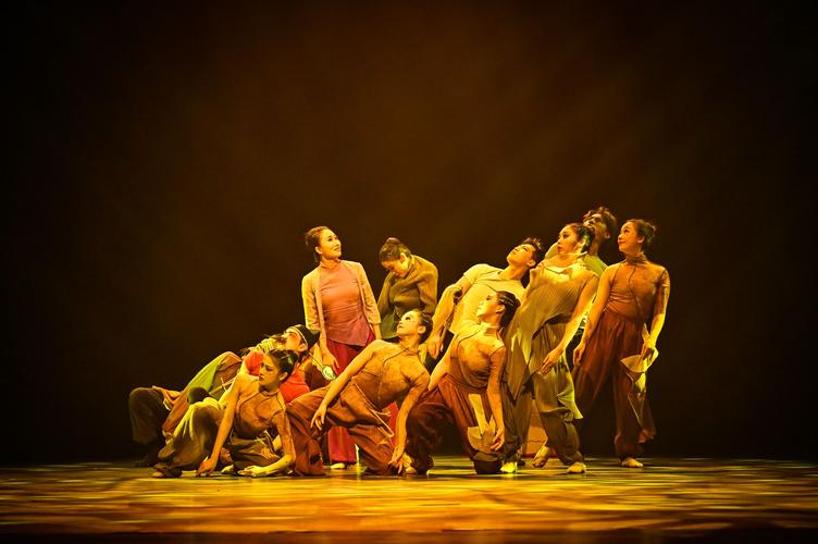 中南大学2025舞蹈生