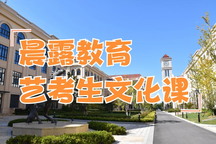 安徽艺考文化课补习学校