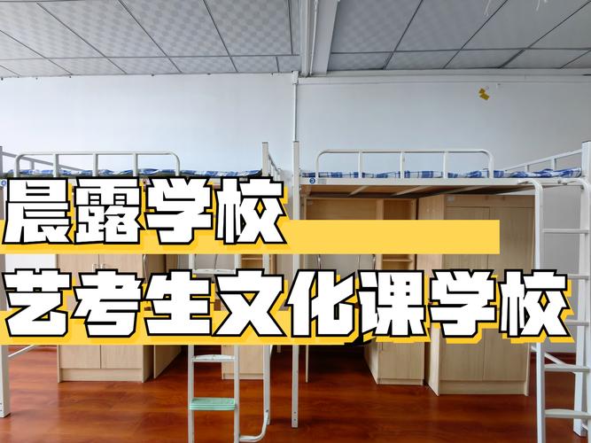 济南艺考文化课班哪家好