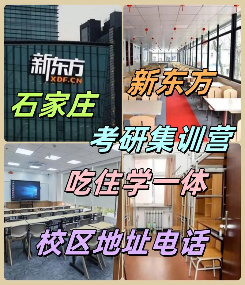 石家庄新东方艺考在哪里