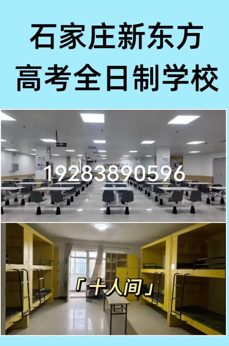 石家庄新东方艺考在哪里