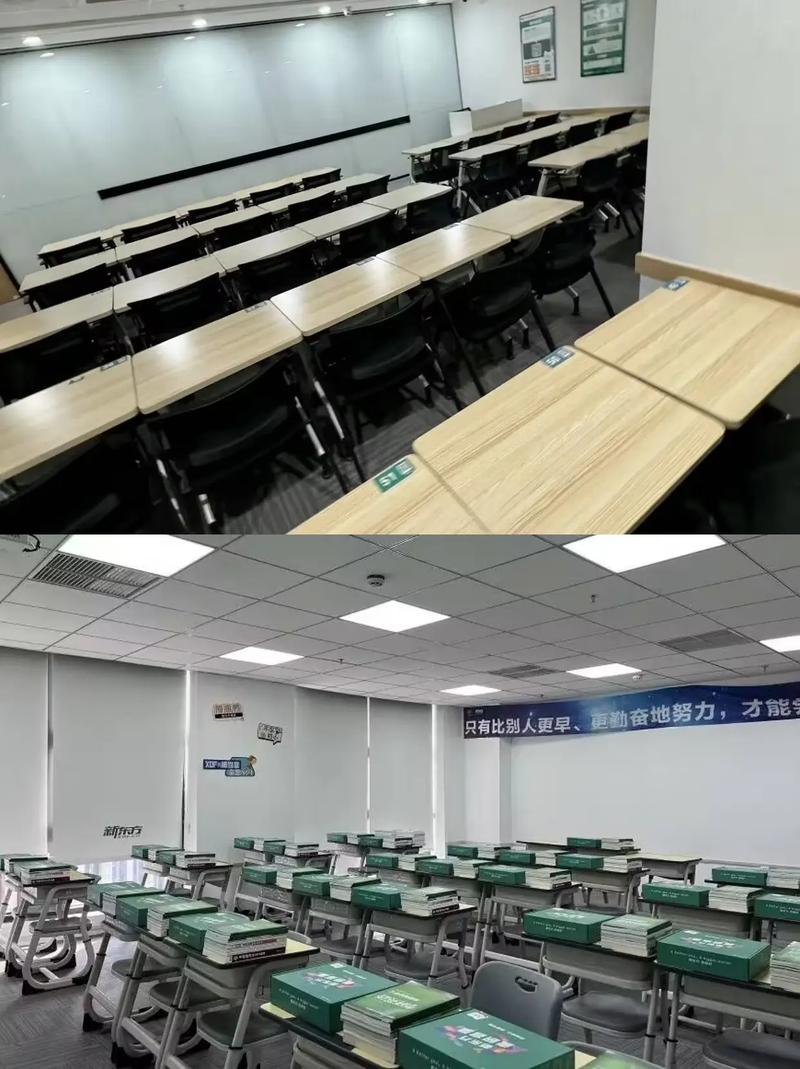 石家庄新东方艺考在哪里