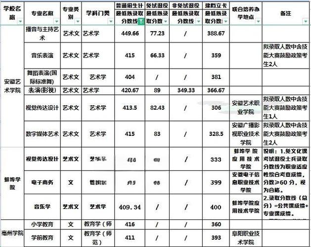安徽美术教育专升本学校