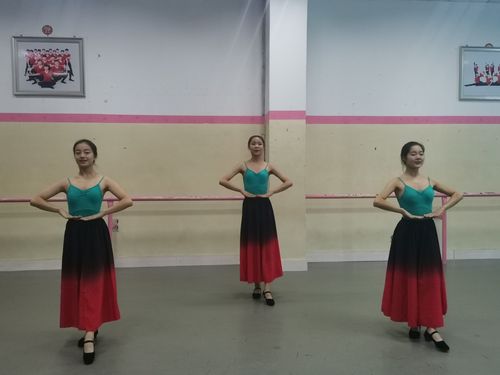 新丰艺2010舞蹈汇报