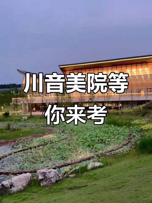 四川音乐学院的美术学院