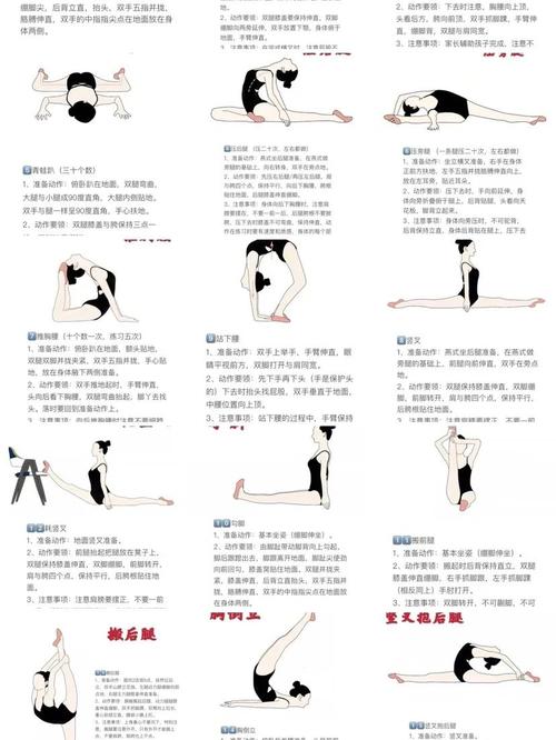 体育舞蹈力量训练ppt