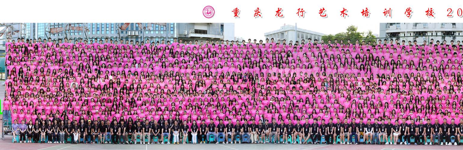 龙行美术培训学校 概况