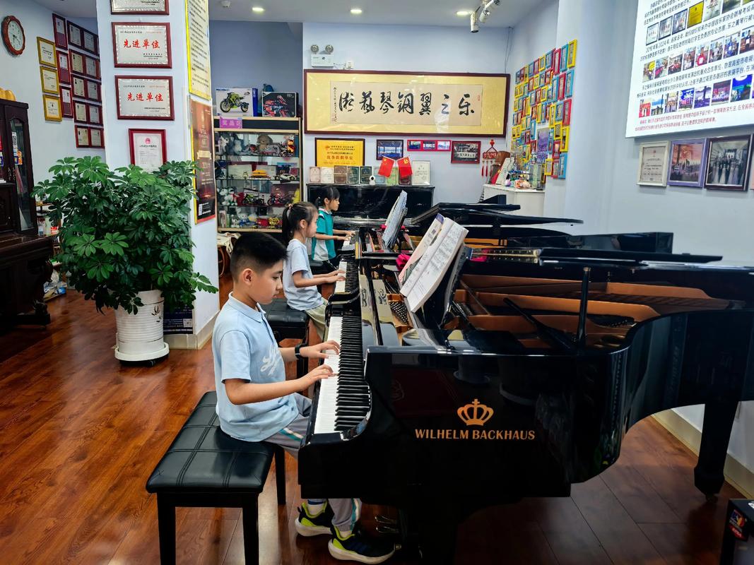 太原市音乐小三门寒假班