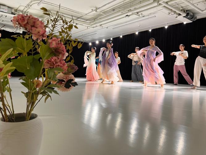 上海 大学 舞蹈 进修