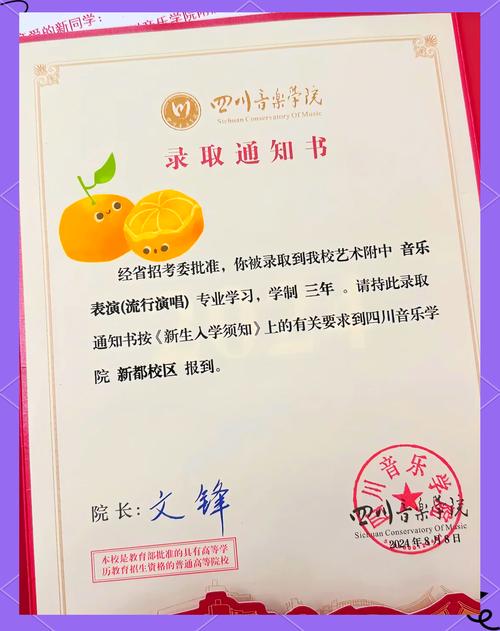 四川音乐学院报考费退吗