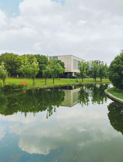 嘉定美术学校有哪些大学