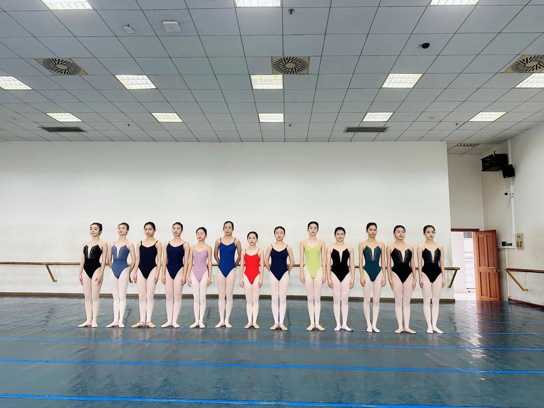 四川音乐学院舞蹈培训班