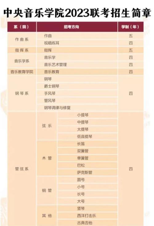 中央音乐学院小提琴招生