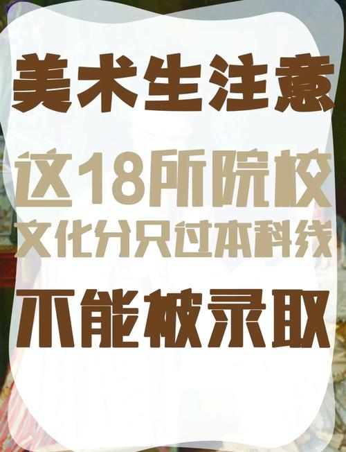 美术生要求文化高分学校