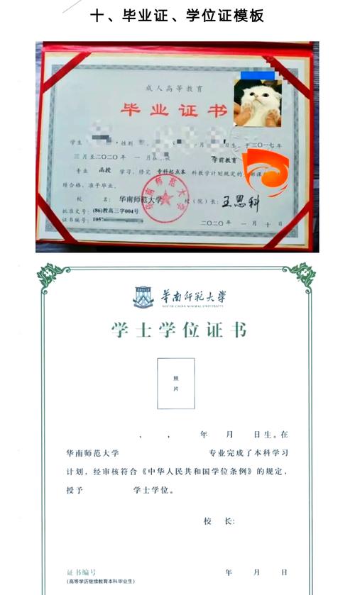 华南师范大学音乐学专硕