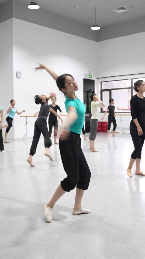 高考舞蹈培训 舞.