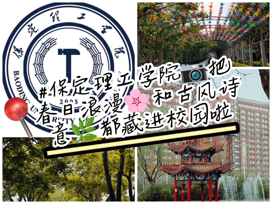 2025年保定理工美术