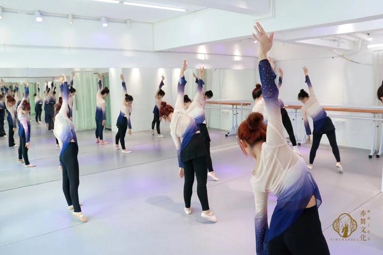 西安 西郊 成人 舞蹈