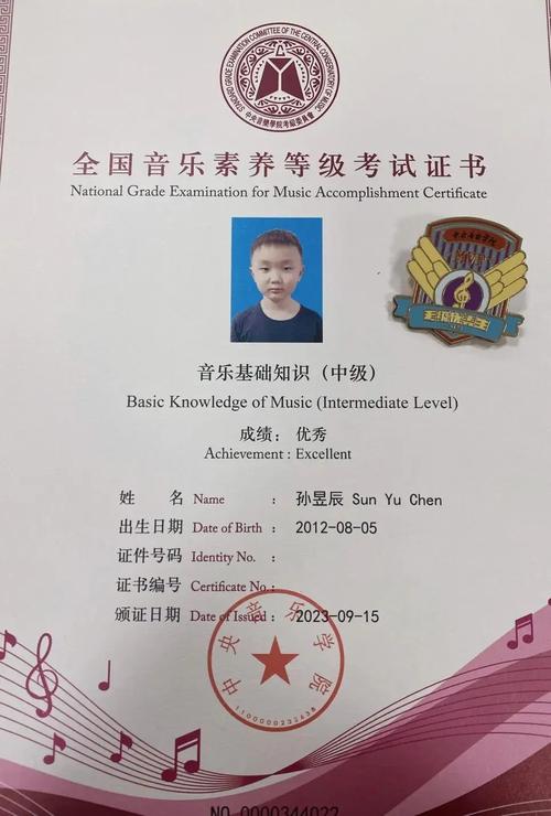 中央音乐学院考级通过率