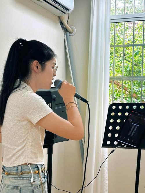 中央音乐学院讲的声乐课