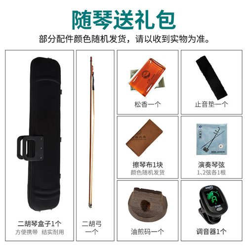星海音乐老师二胡龙老师
