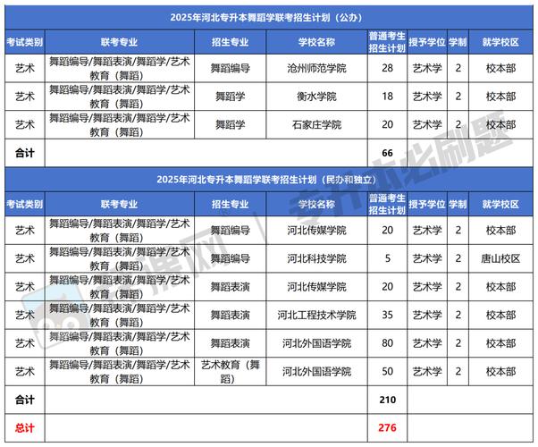 河北舞蹈专接本舞蹈要求