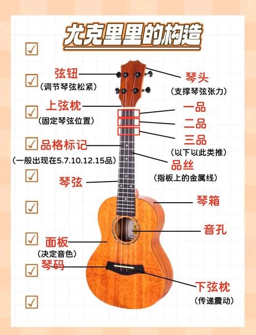 中央音乐学院 尤克里里