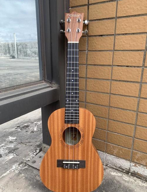 中央音乐学院 尤克里里