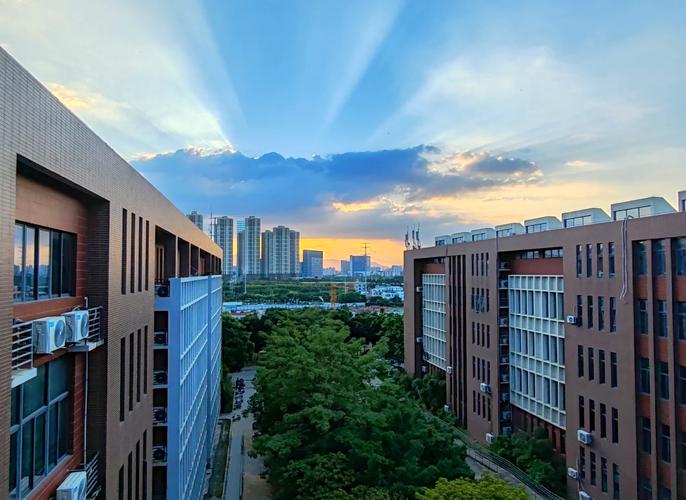 厦门美术大专有哪些学校