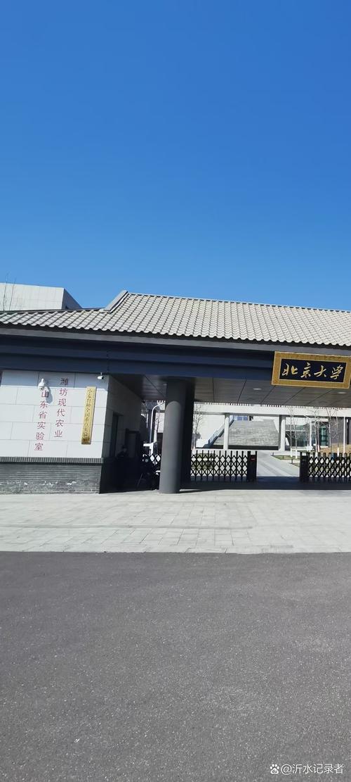 天津新青年艺考北京校区