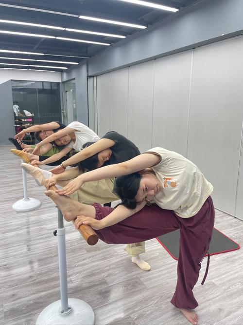 成年人学什么舞蹈比较好