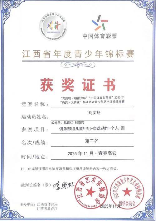 2025江西省美术成绩