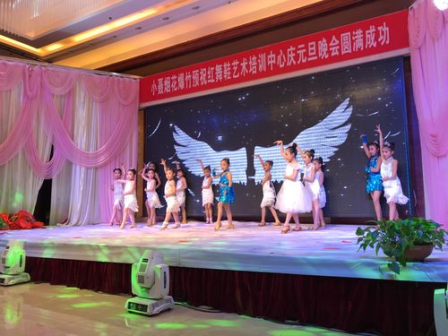 红舞鞋舞蹈艺术培训中心