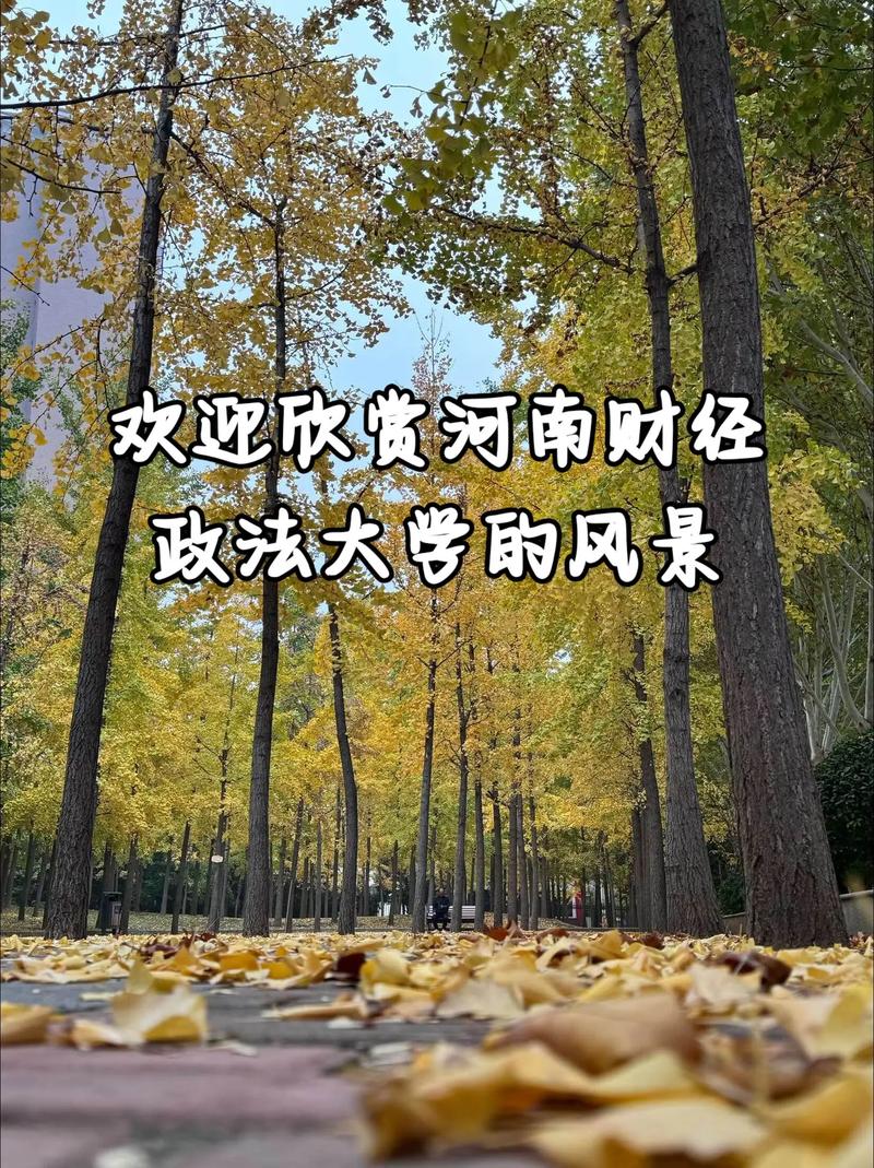 河南财经政法大学音乐系