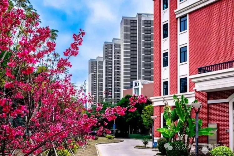 厦门音乐学校是寄宿制吗