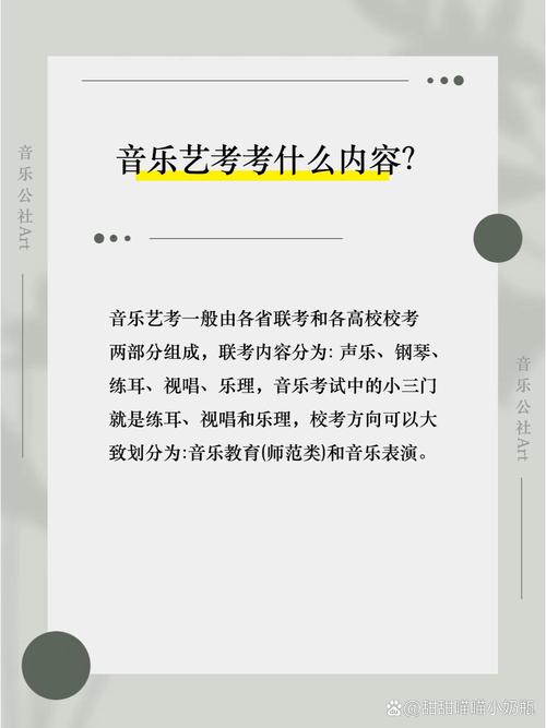 声乐艺考到底考什么时候