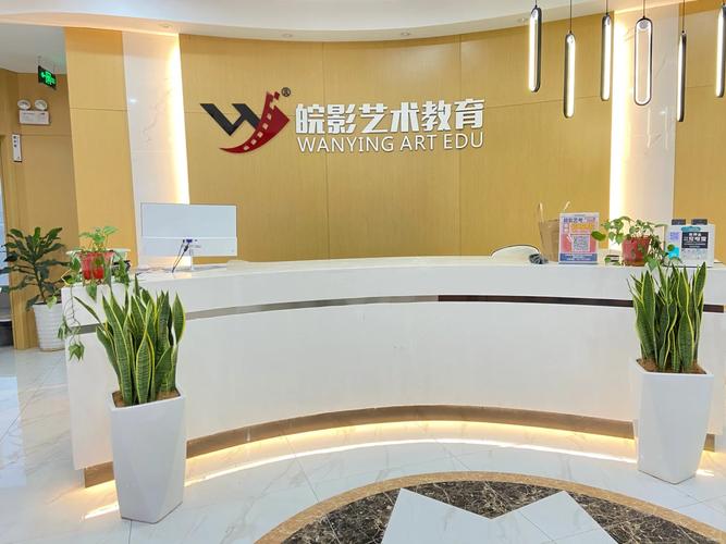 合肥市高中艺考培训机构