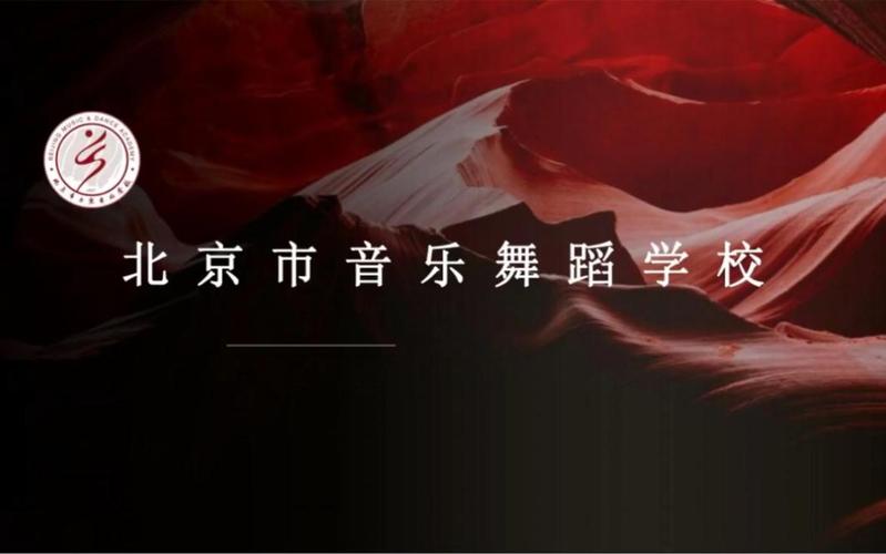 北京市音乐舞蹈学校网站